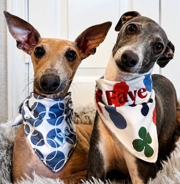 Pup Bandanas