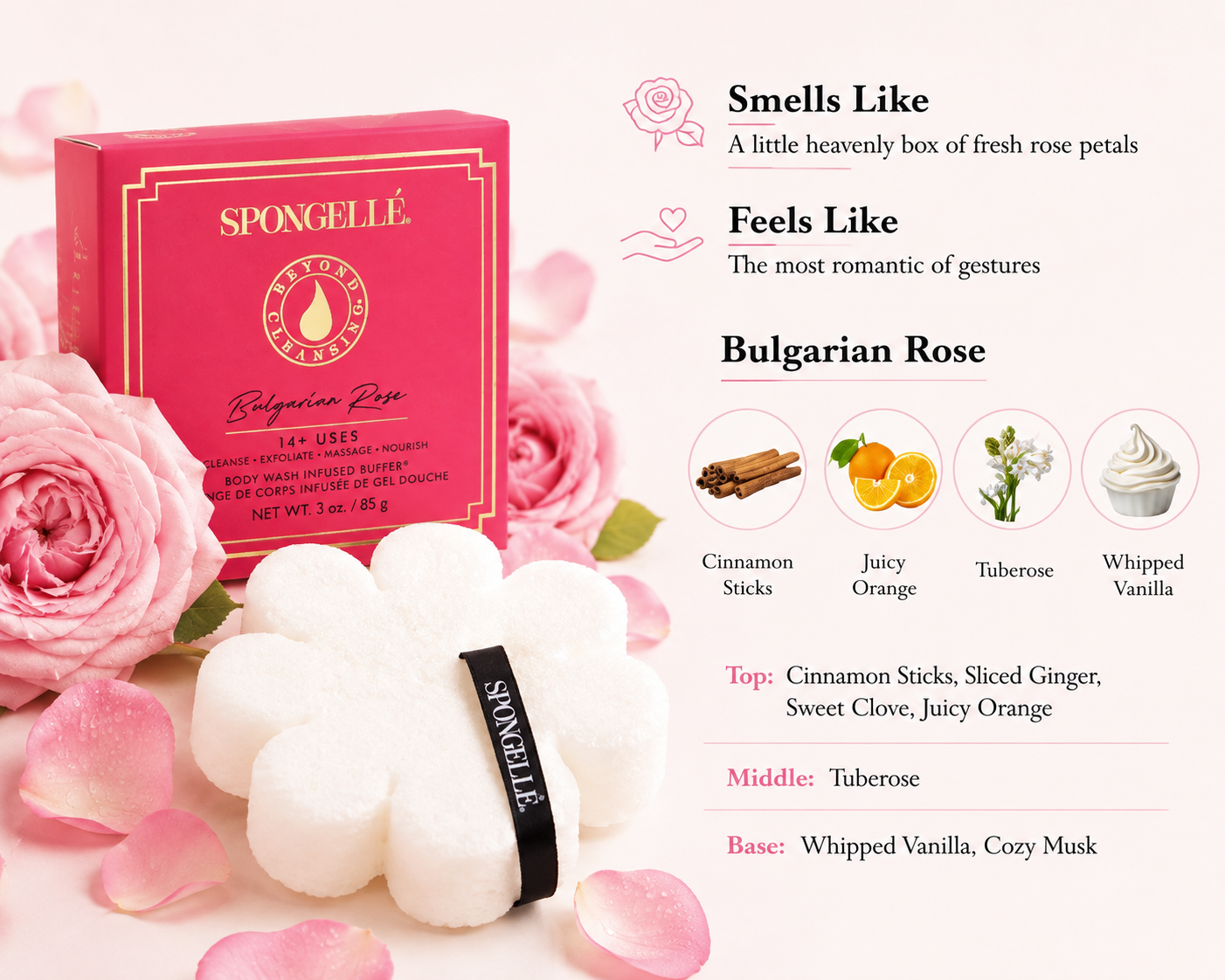 Spongelle-Bulgarian Rose Boxed Flower