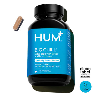 HUM_big chill