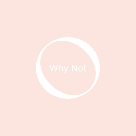 POLISHED_nude palette