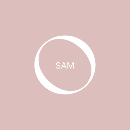 POLISHED_nude palette